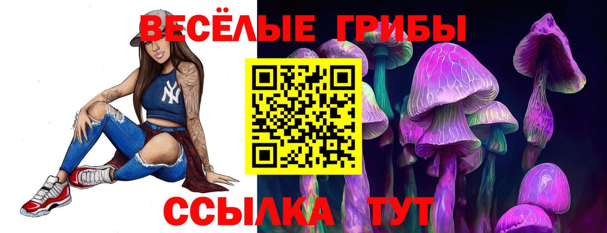 Зеленокумск  закладка  Вход с VPN  Галлюциногенные грибы MAGIC MUSHROOMS  Галлюциногенные грибы GOLDEN TEACHER 